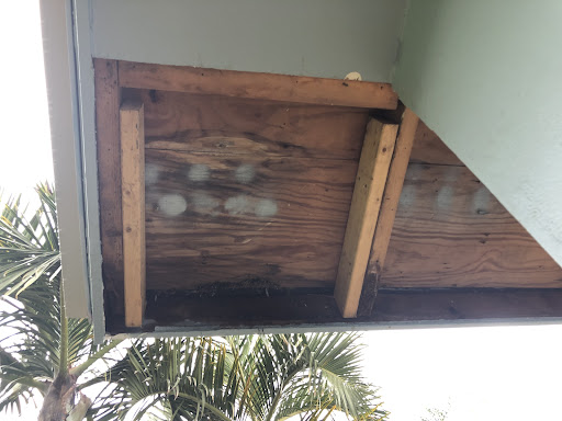 Photo from customer review