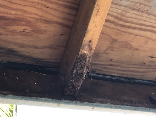 Photo from customer review